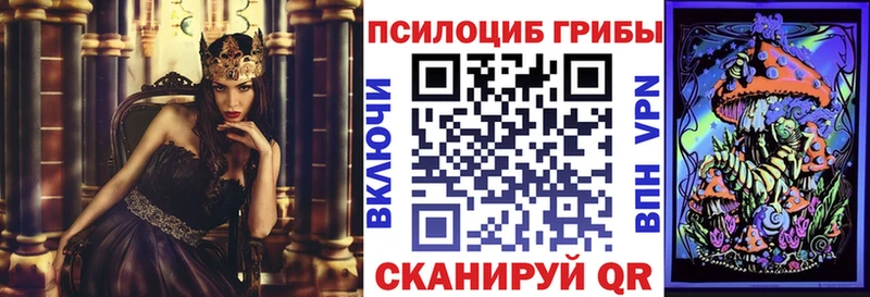 Псилоцибиновые грибы мицелий  Маркс 
