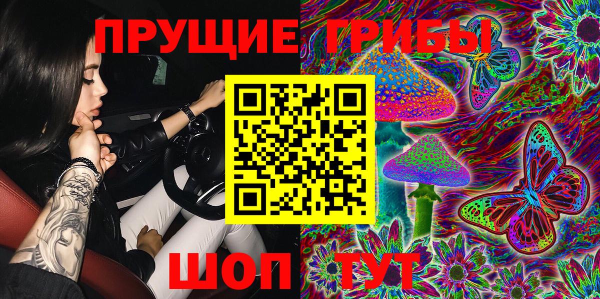 Псилоцибиновые грибы Psilocybine cubensis  Маркс 