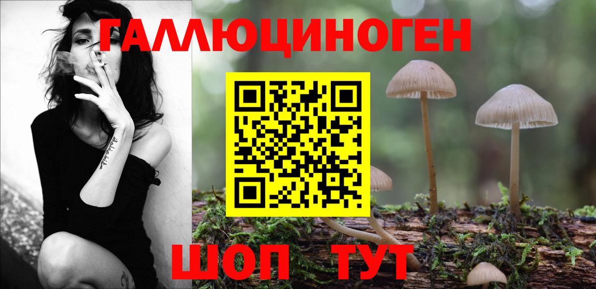 Галлюциногенные грибы Psilocybe Маркс